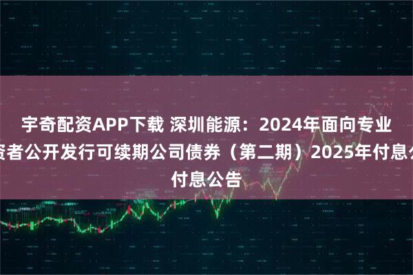 宇奇配资APP下载 深圳能源：2024年面向专业投资者公开发行可续期公司债券（第二期）2025年付息公告