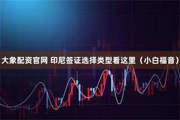 大象配资官网 印尼签证选择类型看这里（小白福音）